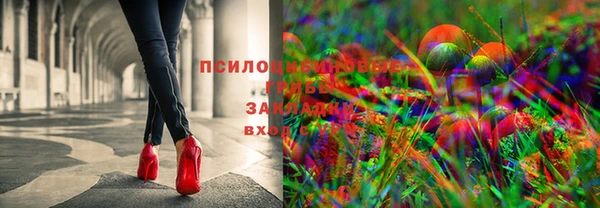 гидропоника Алексин