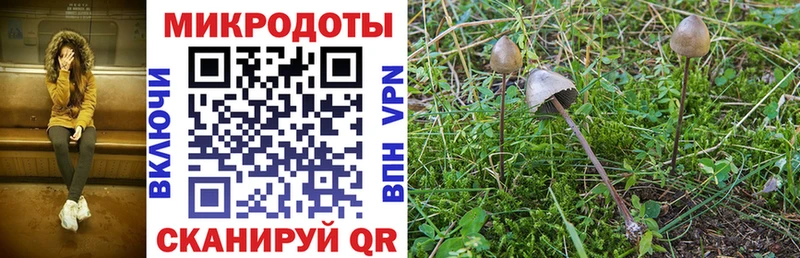 hydra как войти  продажа наркотиков  Изобильный  Галлюциногенные грибы ЛСД 